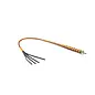 liebe seele canada Japanese Dominatrix Bull Whip