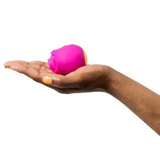 Romp Canada Romp Rose 2.0