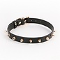 Hustler Taboo Collar -Medusa