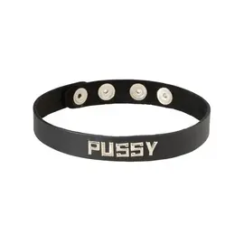 Wordband Leather Collar