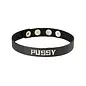 Wordband Leather Collar