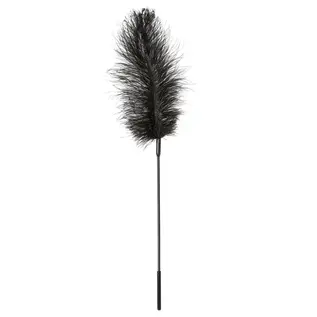 sportsheets canada Ostrich Feather Tickler