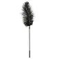 sportsheets canada Ostrich Feather Tickler
