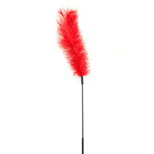 sportsheets canada Ostrich Feather Tickler