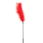 sportsheets canada Ostrich Feather Tickler