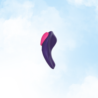 Fanny Flutter Panty Vibrator