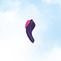 Fanny Flutter Panty Vibrator