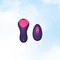 Fanny Flutter Panty Vibrator