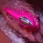 Lovense Lovense Lush 4