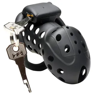 master series Lock Down Chastity Cage