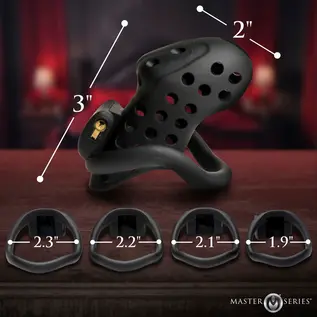 master series Lock Down Chastity Cage