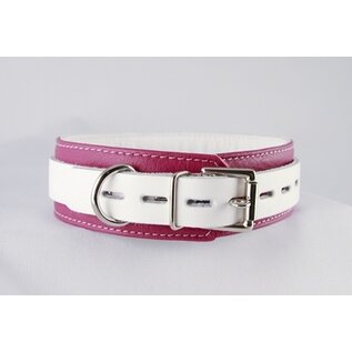 aslan vancouver Aslan Pink Candy Collar
