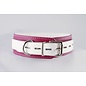 aslan vancouver Aslan Pink Candy Collar