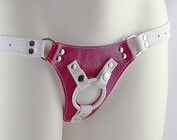 harnesses & chastity