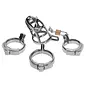 master series Detained Stainless Steel Chastity Cage
