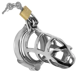 master series Detained Stainless Steel Chastity Cage