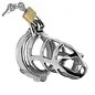 master series Detained Stainless Steel Chastity Cage