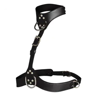 master series Vixen Female Chest Harness