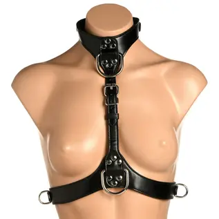 master series Vixen Female Chest Harness
