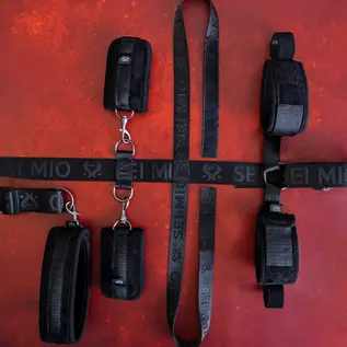 Sei Mio Seated and Mistreated: Unique Under Chair Restraint System