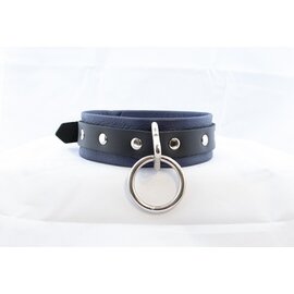 aslan vancouver Aslan Prince Collar