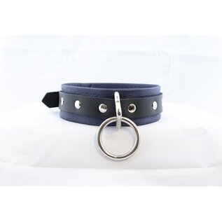 aslan vancouver Aslan Prince Collar