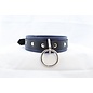 aslan vancouver Aslan Prince Collar