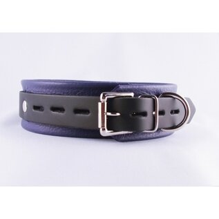 aslan vancouver Aslan Prince Collar