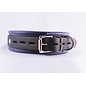 aslan vancouver Aslan Prince Collar