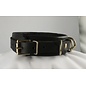 aslan vancouver Aslan Black Panther Collar