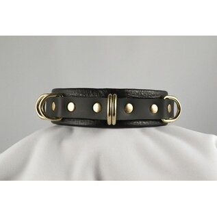 aslan vancouver Aslan Black Panther Collar