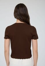 Miss Bliss Blu Scalloped Ss Button Down Knit Top-Brown