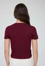 Miss Bliss Blu Scalloped Ss Button Down Knit Top-Burgundy