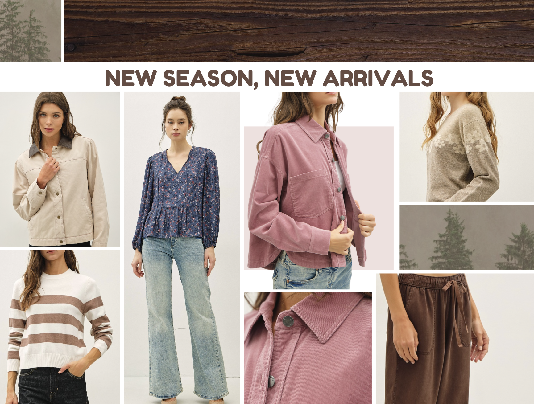 Fall Arrivals