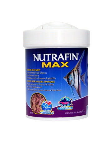 Nutrafin Nutrafin Max flocons pour poisson tropicaux
