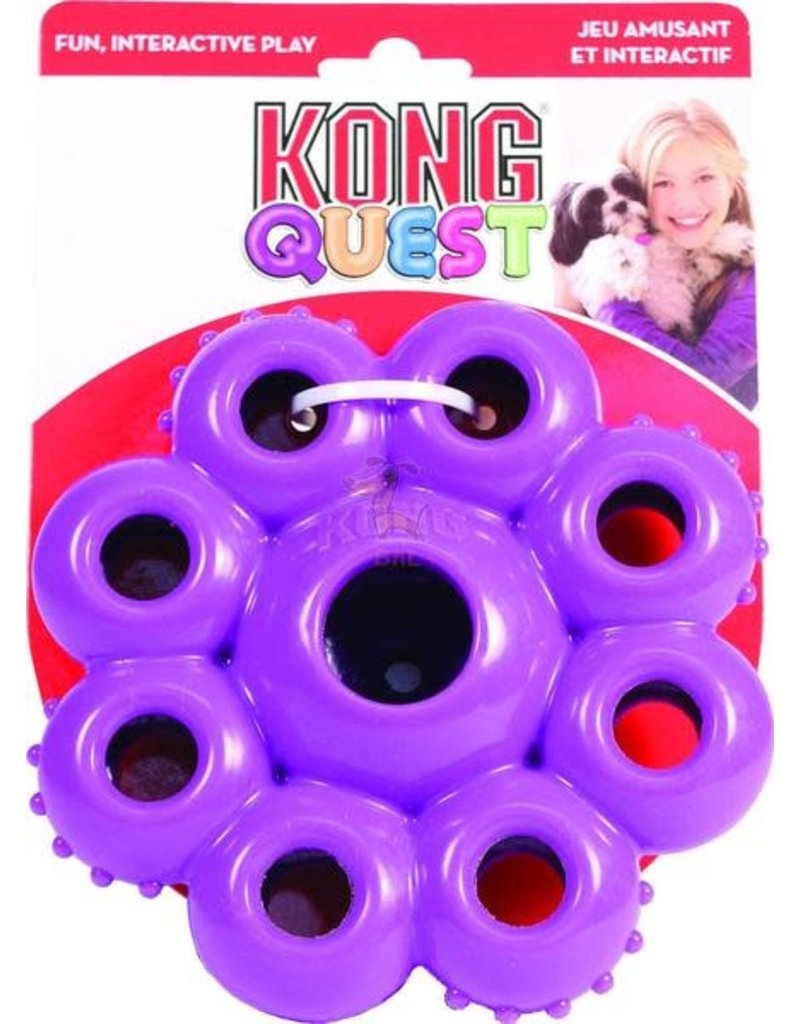 Kong Kong Quest Star Pods
