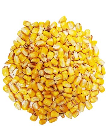 Domaine Animal Domaine Animal grains de maïs (6) .