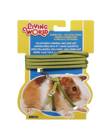 Living World Living World harnais pour cochon d'inde vert