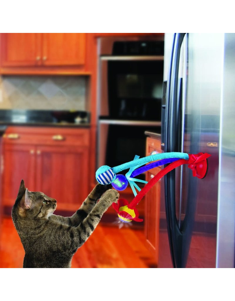 Kong connects bat'n spring // Domaine Animal