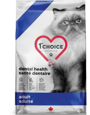1st choice 1st Choice chat santé dentaire adulte 4kg
