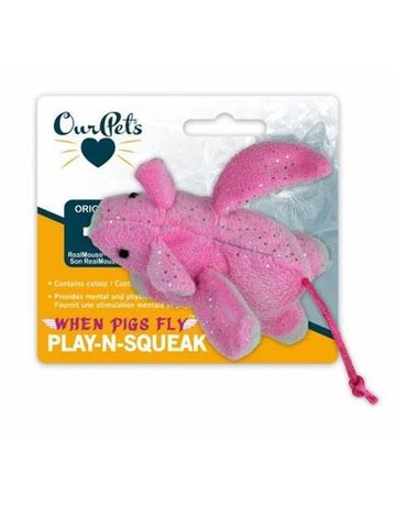 OurPets Ourpets cochon
