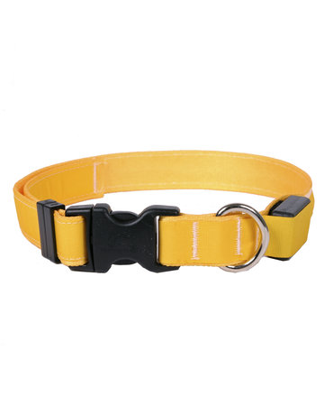 Yellowdog Yellowdog design solid goldenrod