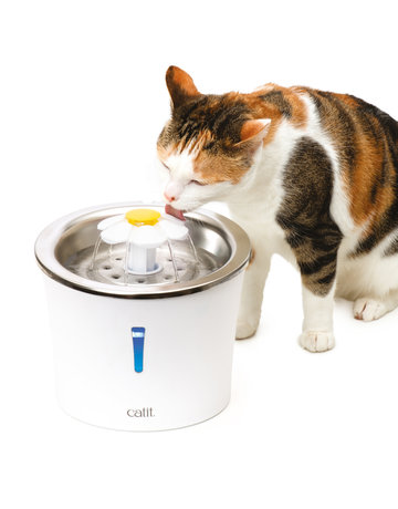 Catit Catit abreuvoir dessus en acier inoxydable avec fleur