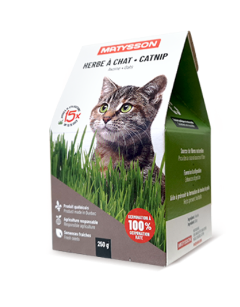 Boîte d'herbe à chat