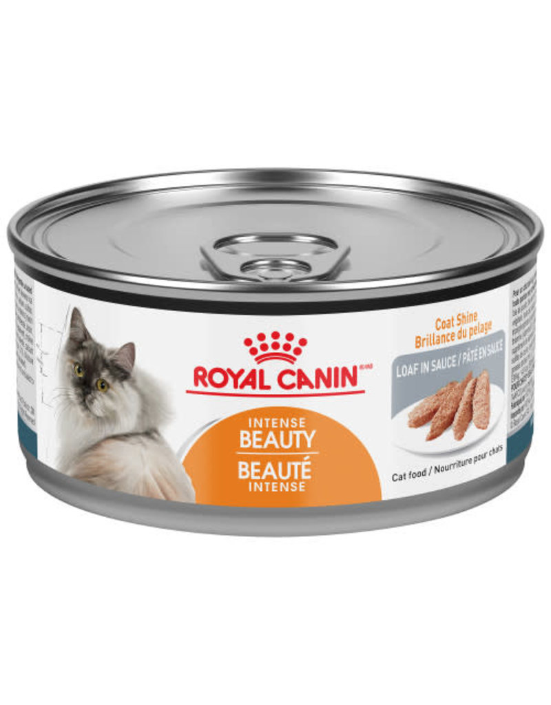 Royal Canin Royal Canin chat conserve beauté intense pâté 85g (24)