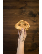 Kyon Distribution Kyon nez de porc fait au Québec (100)