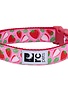 Rc pets Rc pets collier fraise