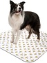 Poochpad PoochPad tapis d'entrainement  lavable beige grand 1 unité .