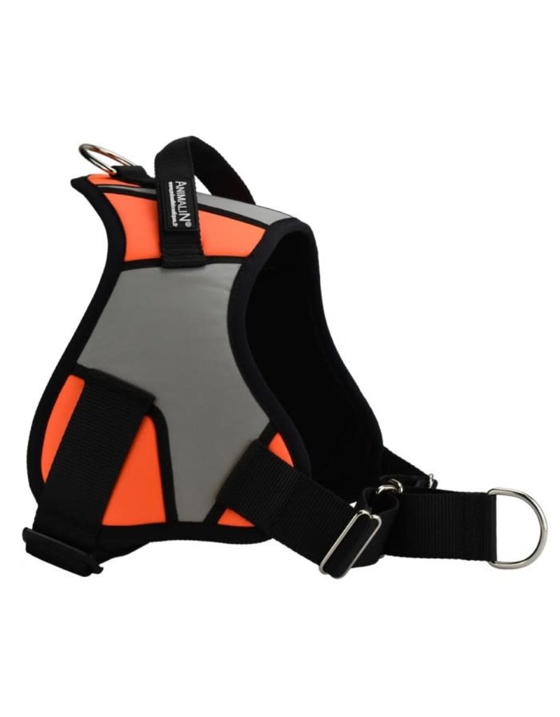 Animalin Animalin Reflex Plus orange grand