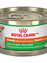 Royal Canin Royal Canin chien conserve pâté adulte beauté 150g (24)